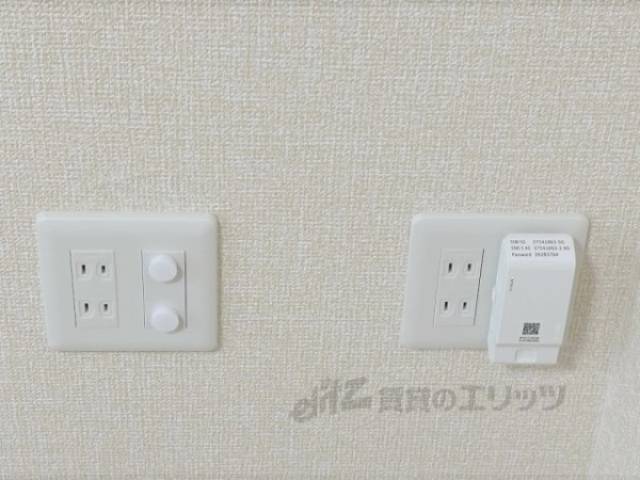 ネット
