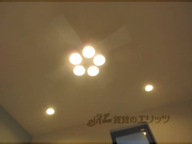 ファン