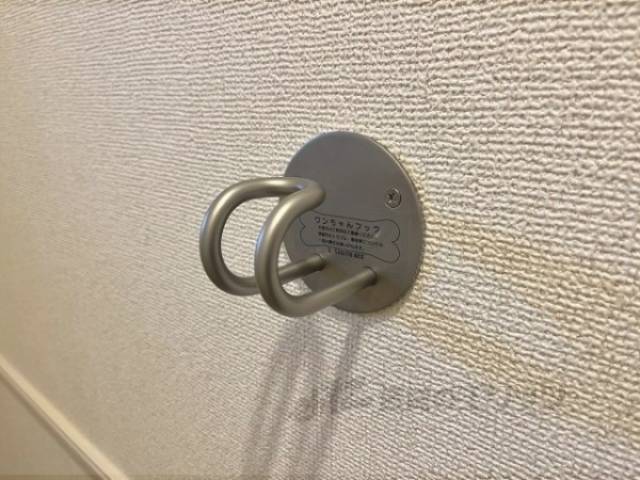 ペット用フック