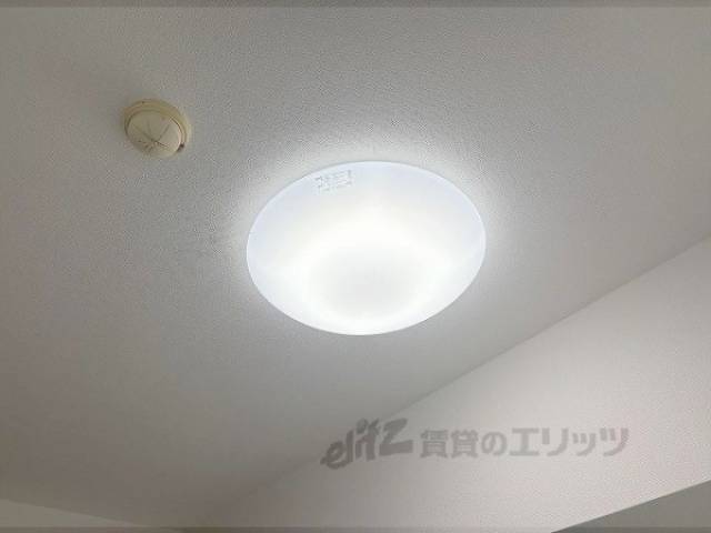 照明