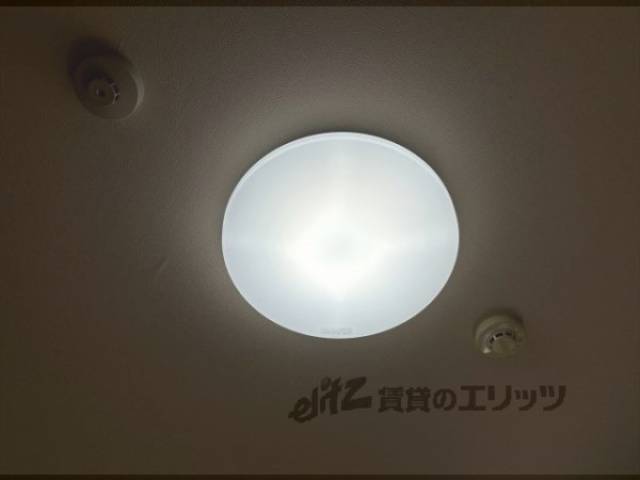 照明