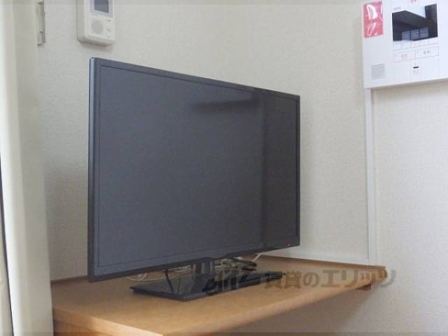テレビ
