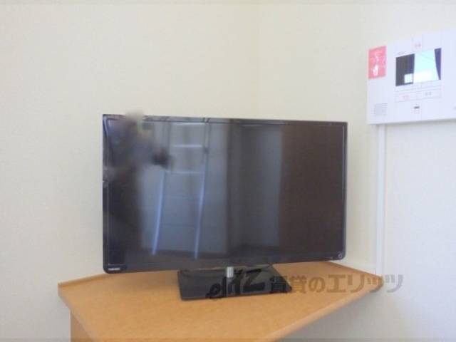 テレビ