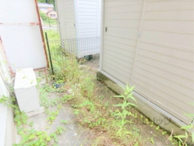 庭