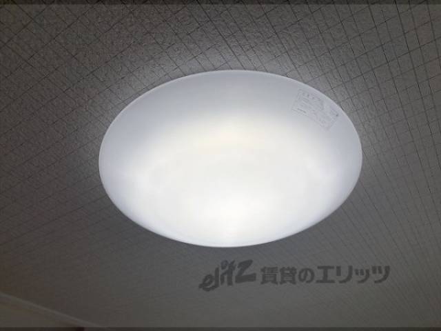 照明