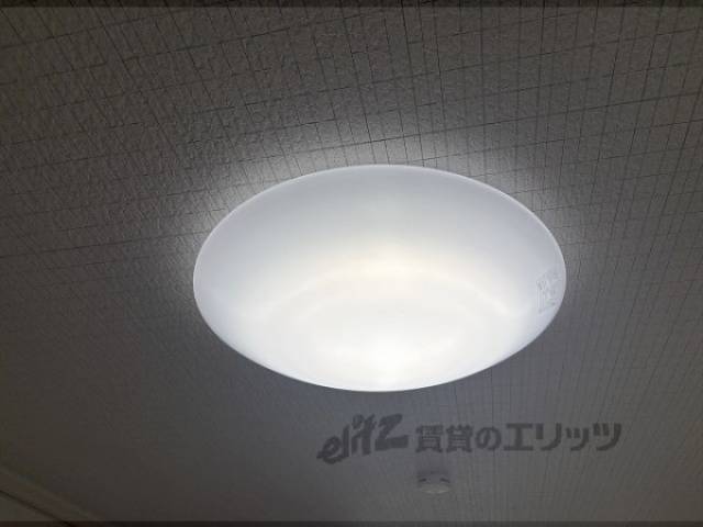照明