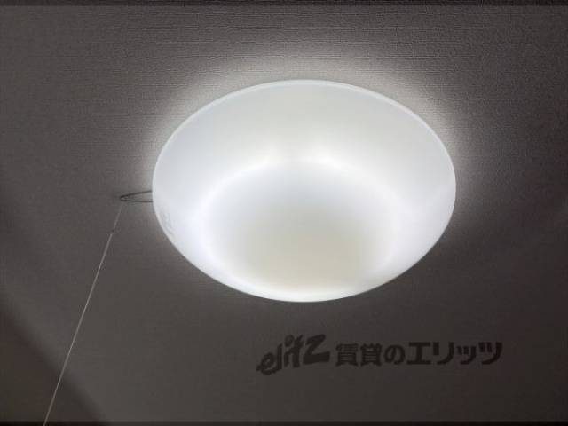 照明