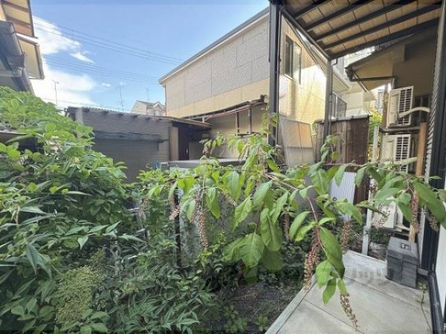 庭