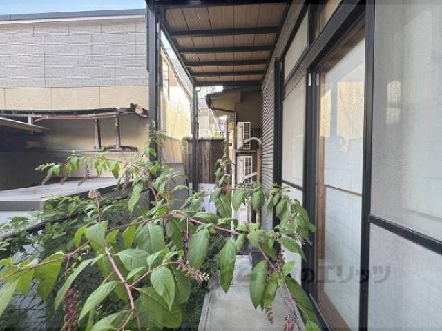 庭