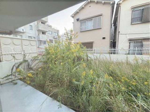 庭