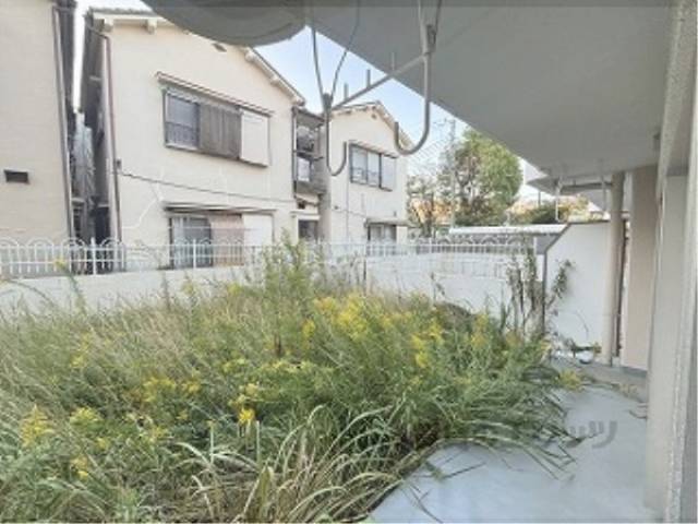 庭
