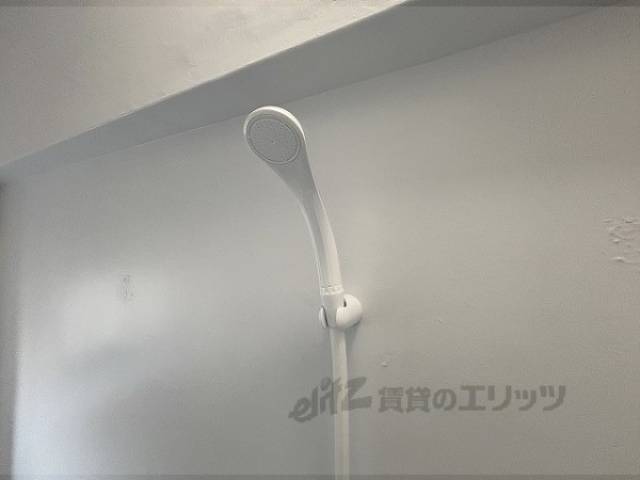 シャワー