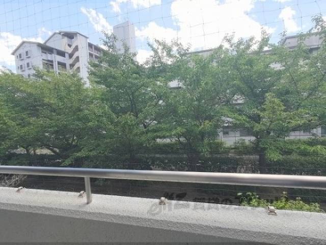 眺望