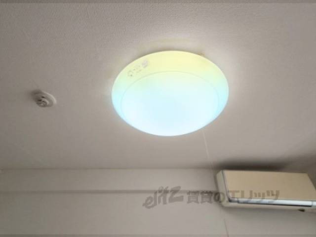 照明