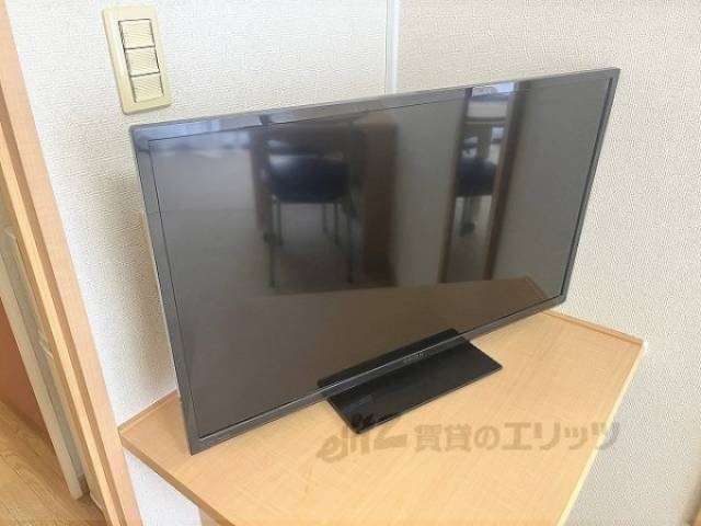 テレビ