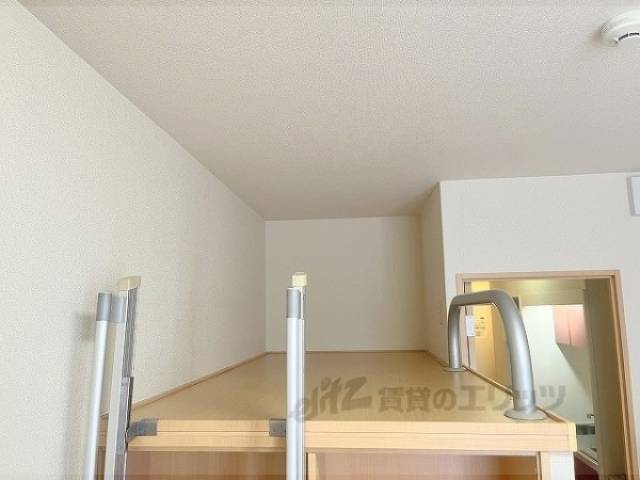 ベット