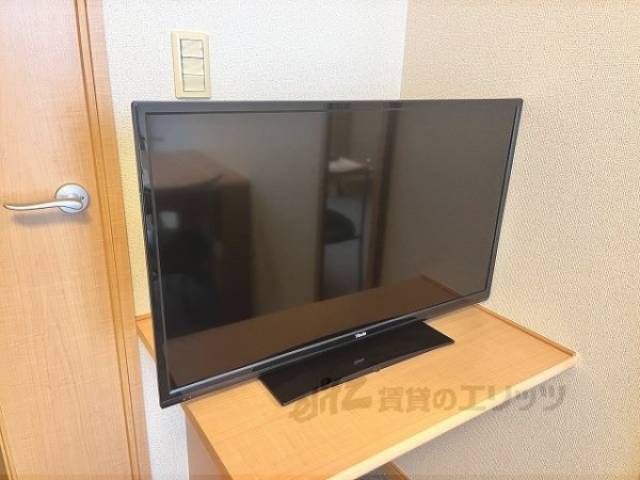 テレビ