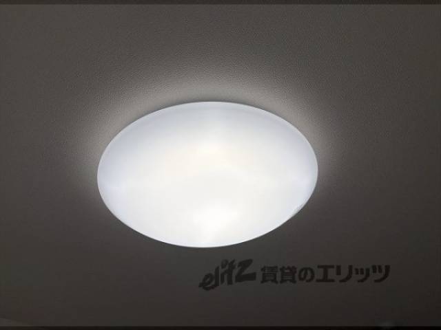 照明