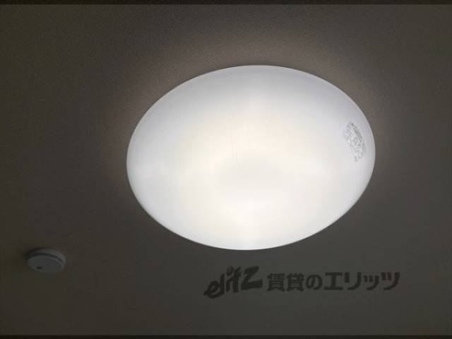 照明