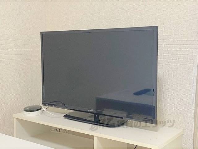 テレビ