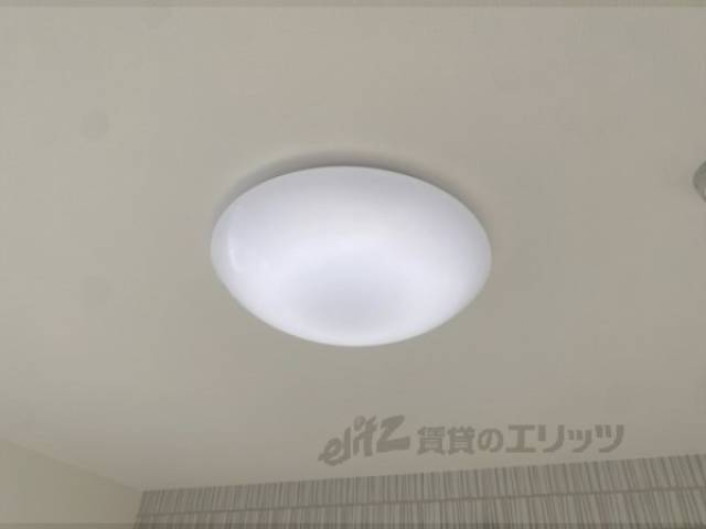 照明