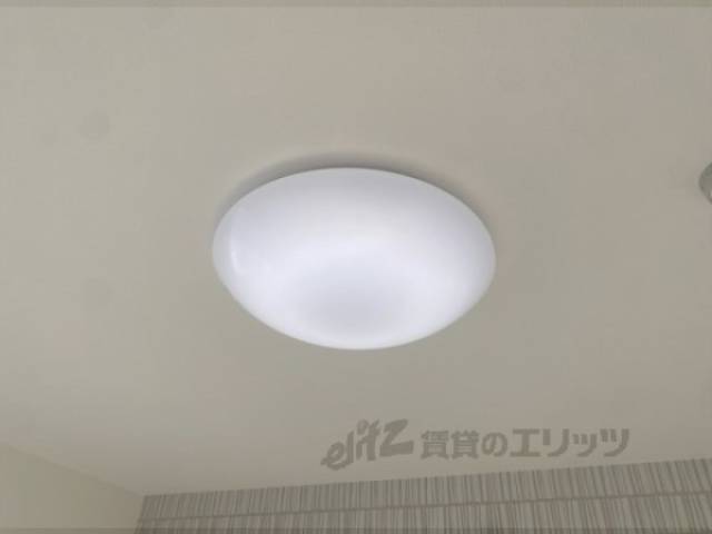 照明
