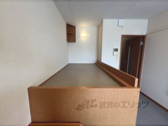 ベット置き場