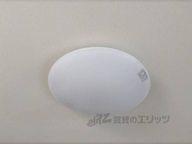 照明