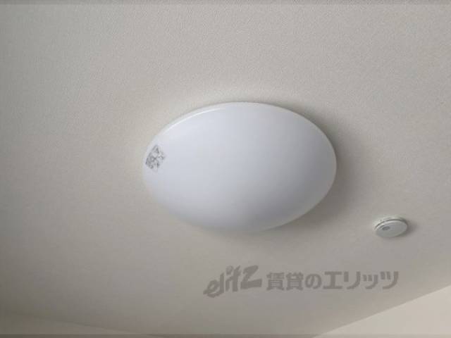照明