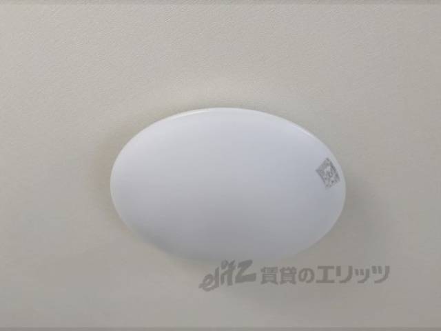 照明