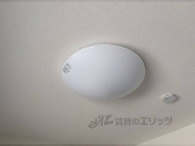 照明