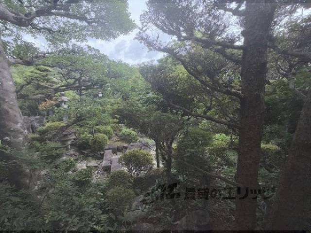 庭