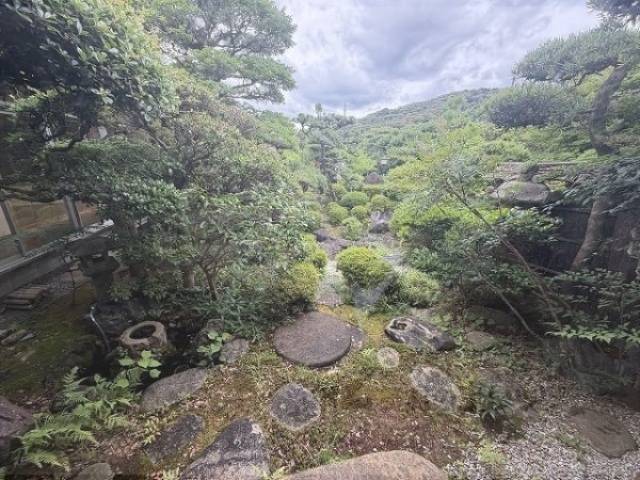 庭