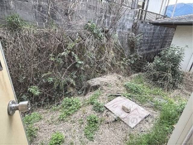 庭