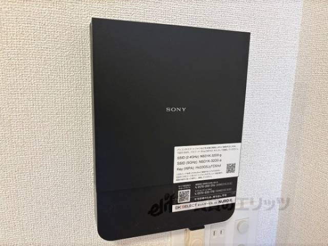 ネオ光
