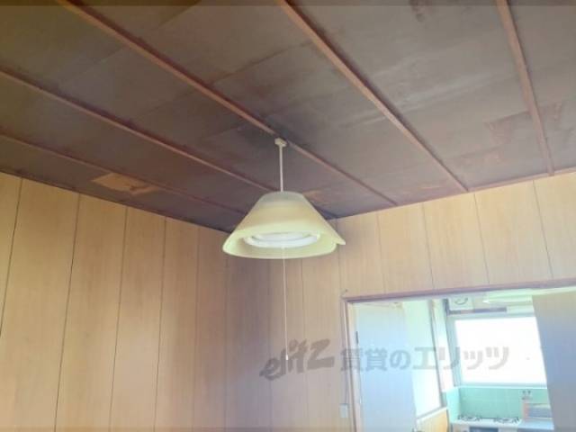 照明