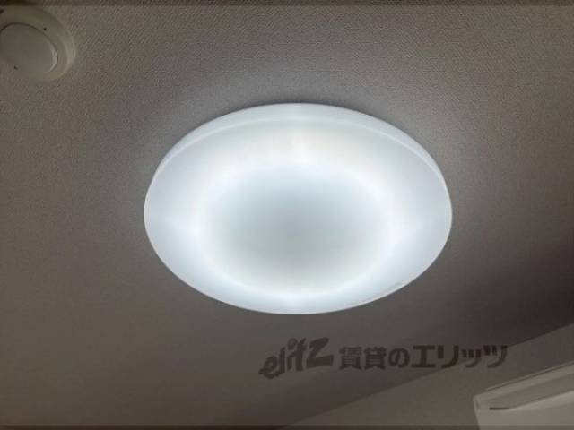 照明