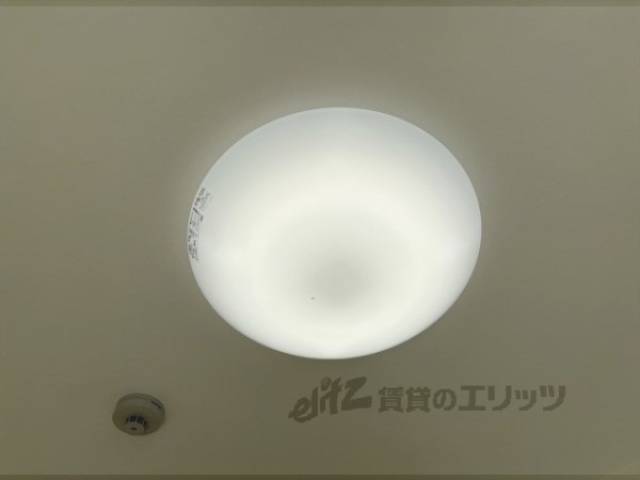 照明