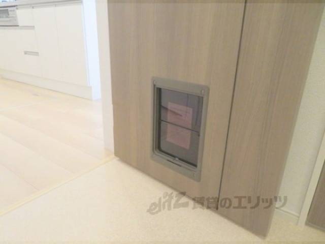 キャットウォーク