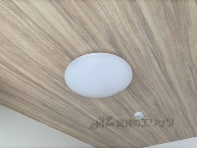 照明