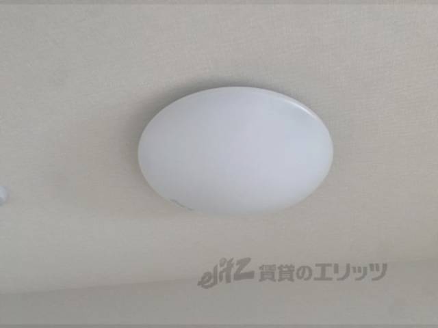 照明