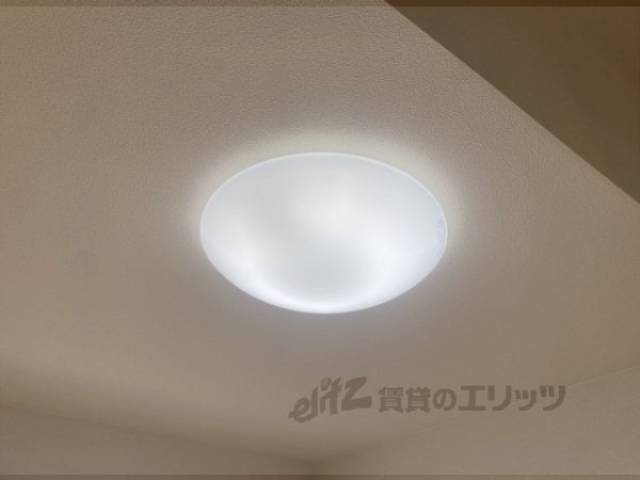 照明