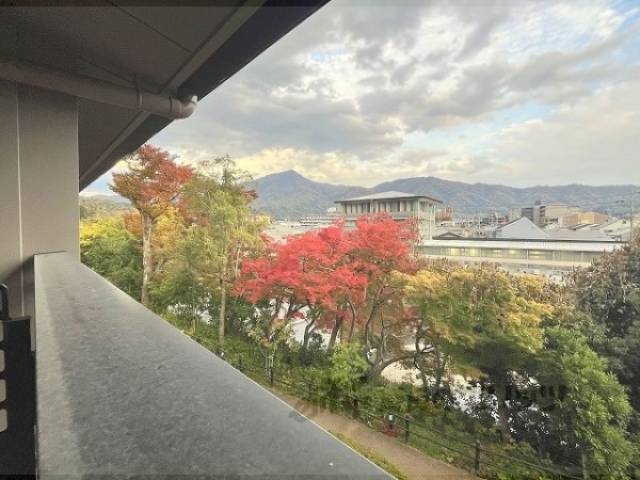 眺望