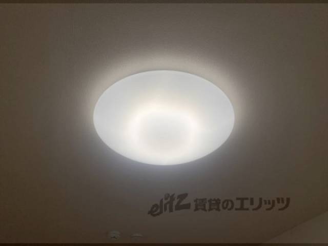 照明