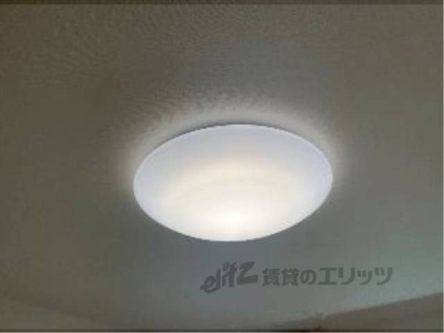 照明
