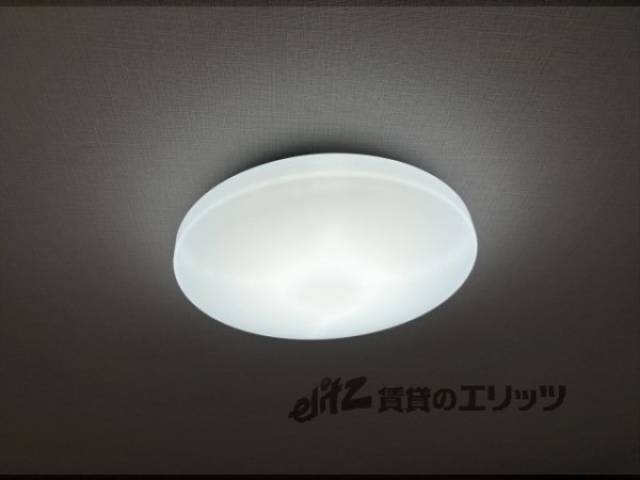 照明