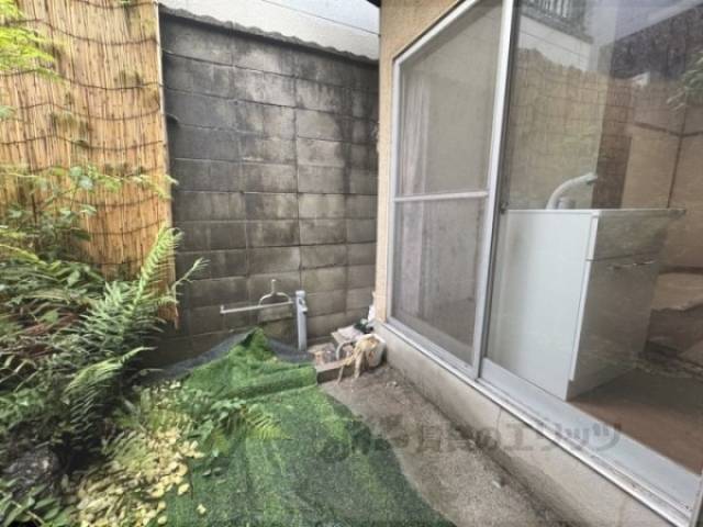 庭