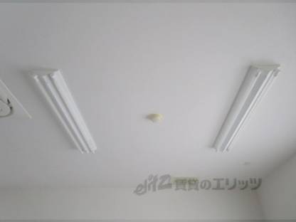 照明