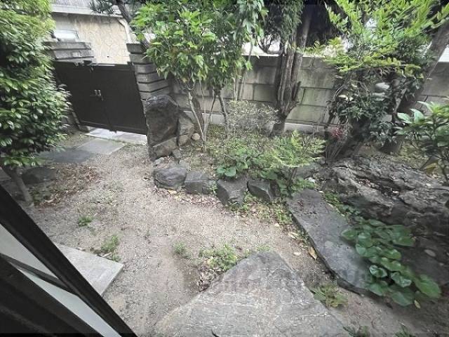 庭