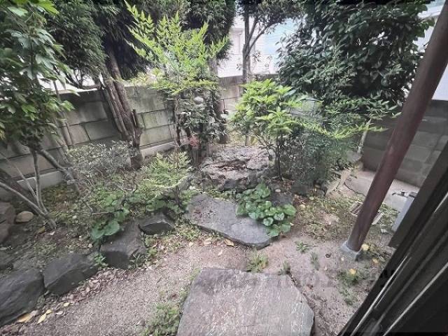 庭
